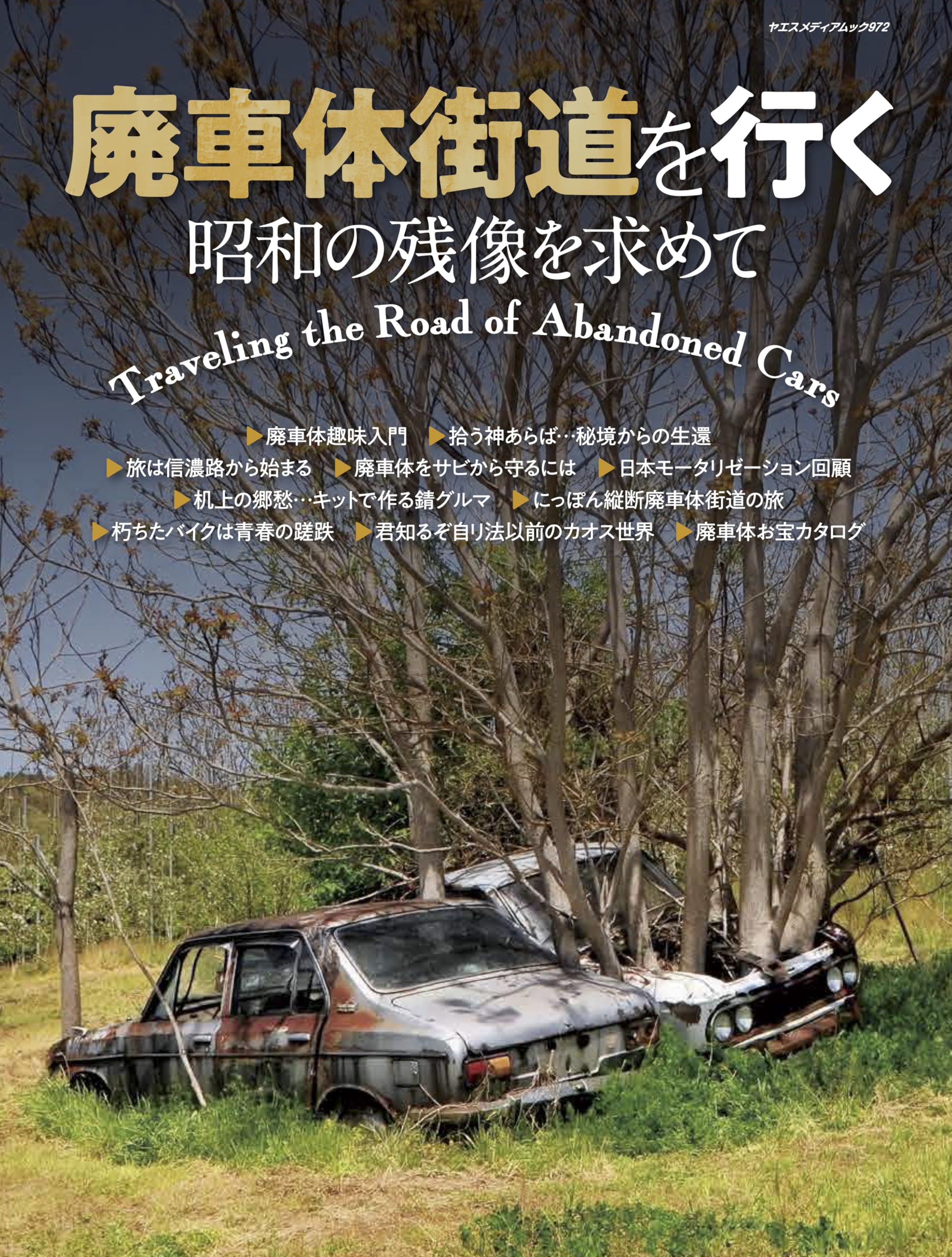 Amazon.co.jp: 廃車体街道を行く 昭和の残像を求めて（ヤエスメディア
